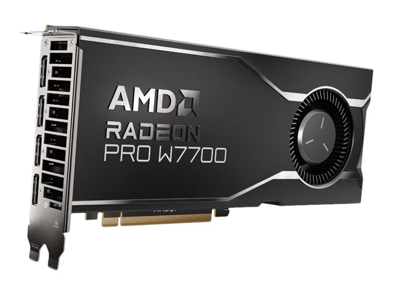 AMD Radeon Pro W7700 - Grafikkort - 100-300000006