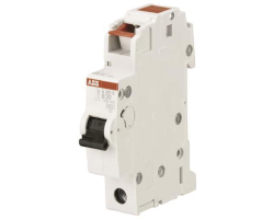 ABB Steck-Automat B 20AS201S-B201-polig2CDS251002R0205