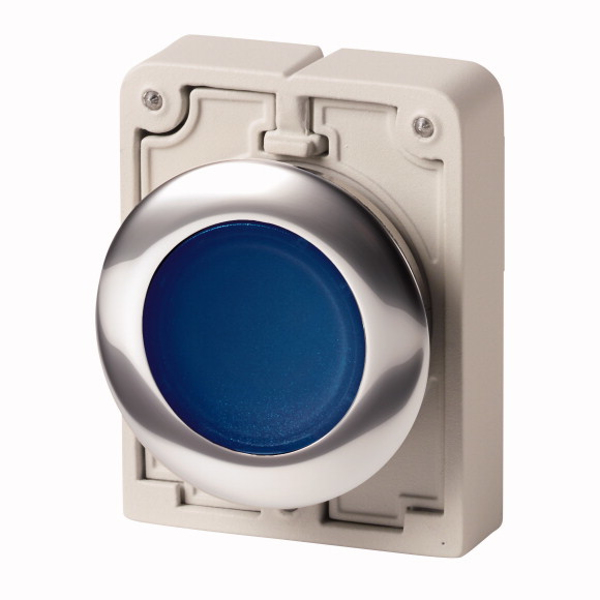 Bouton-poussoir rond plat chromé Eaton M30C-FDRL-B bleu 1 pièce