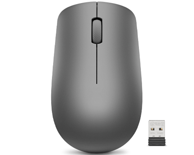 530 Wireless Mouse - Maus - rechts- und linkshändig - optisch - 3 Tasten - kabellos - 2.4 GHz - kabelloser Empfänger (USB) - Graphite - för IdeaCentre 3 22, 5 14ARE05, ThinkCentre M70, M75q Gen 2, M920, V50t-13, V55t-15 - GY50Z49089