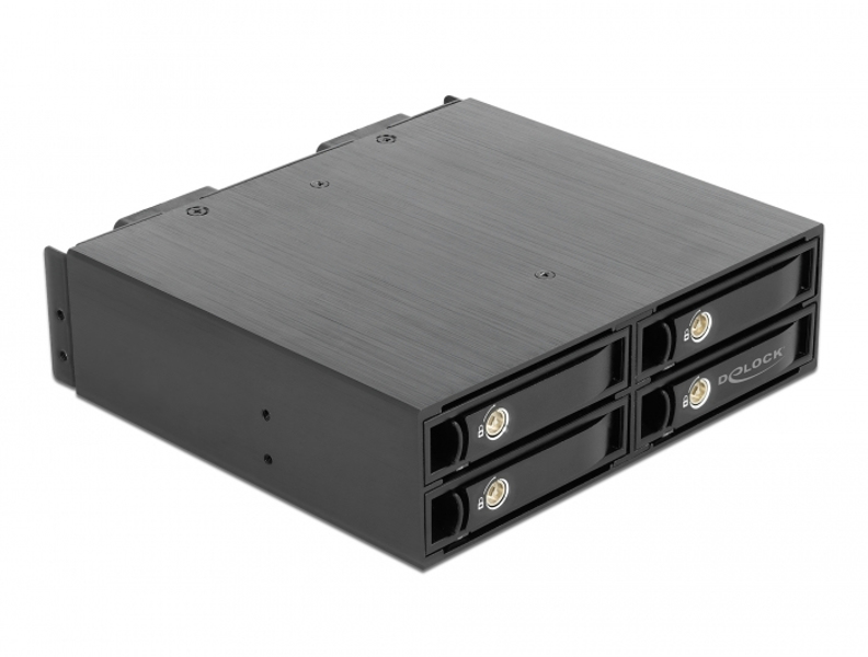 Cadre amovible Delock 5,25"