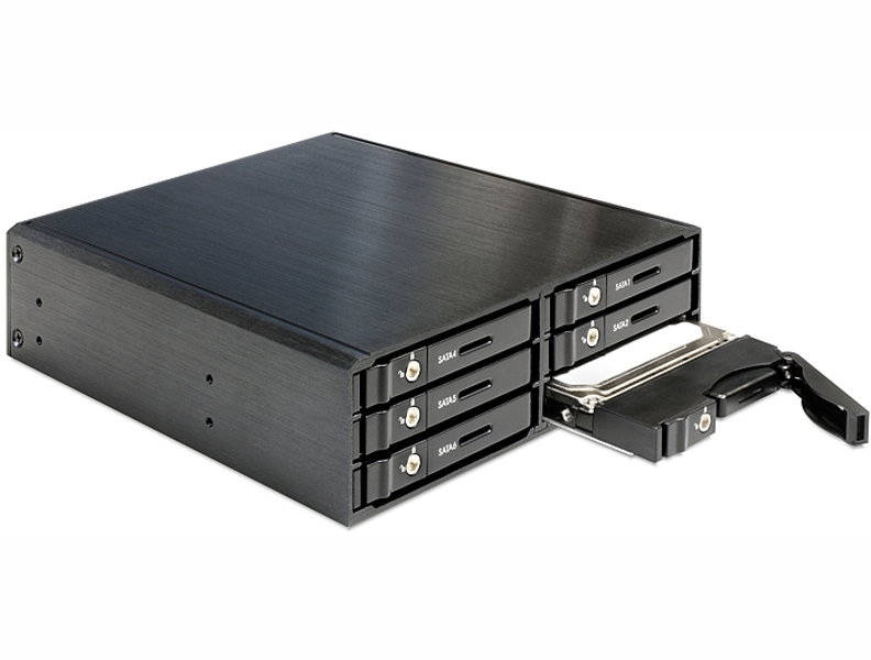 Delock 5.25" Mobile Rack for 6 x 2.5" SATA HDD / SSD - 47221