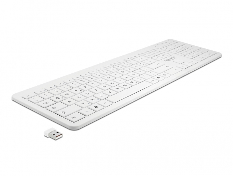 Delock 12014 - Standard - Sans fil RF - QWERTZ - Blanc