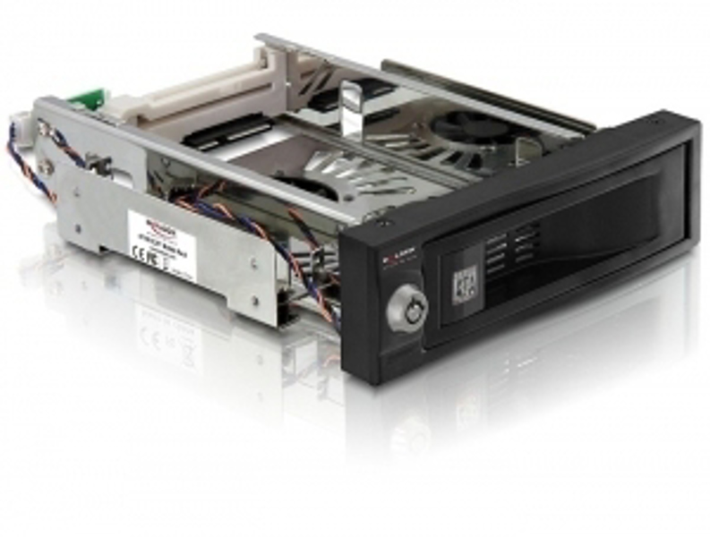 Delock 5.25 Mobile Rack for 3.5 SATA HDD - 47199