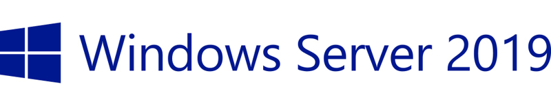 P11064-A21 Microsoft Windows Server 2019 Standard Edition