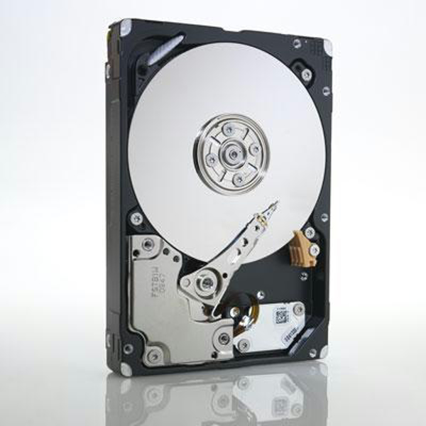 IBM 49Y2078 - 2.5" - 600 GB - 10000 RPM
