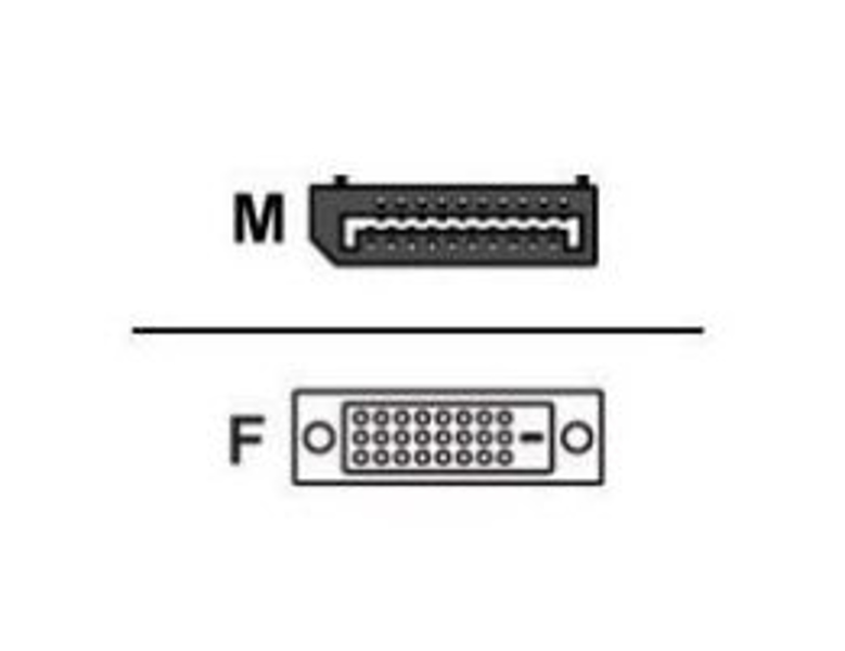 Wyse DisplayPort till DVI-adapter för 3030 och D-Z klass