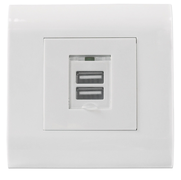 Boîtier encastré avec 2 ports de charge USB Type A