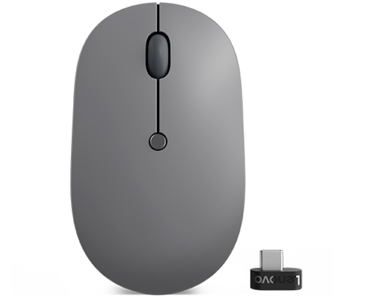 Go - Maus - ergonomisch - rechts- und linkshändig - optisch blau - 5 Tasten - kabellos - 2.4 GHz - USB-C Wireless-Empfänger - Storm Gray - för ThinkCentre M90, ThinkPad E14 Gen 3, V14 G2 IJL, V15 G2 IJL, Yoga Slim 7 Pro 16 - 4Y51C21216