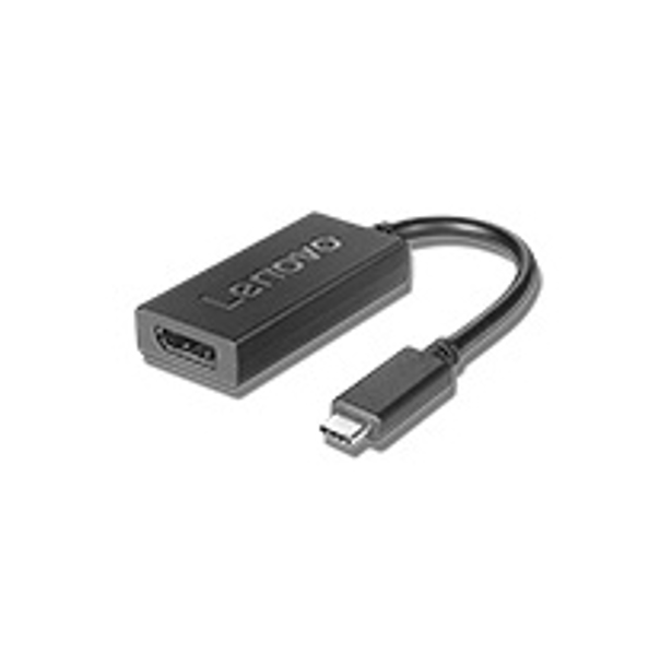 Adaptateur Lenovo DisplayPort USB-C 200 mm