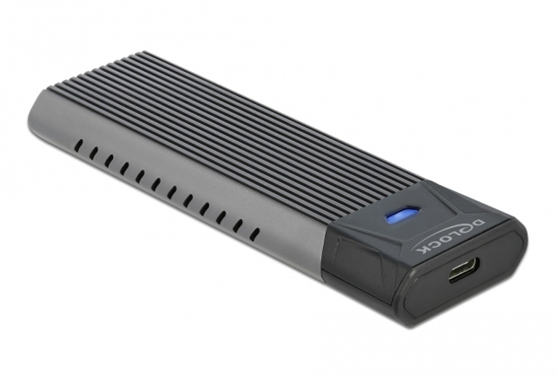 Delock external USB Type-C Combo enclosure - 42638