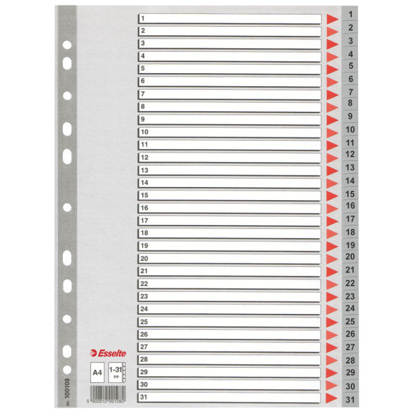 Esselte Leitz Plastic indexes - 225 mm - 297 mm