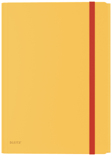 Esselte Leitz 46190019 - Drawing folder - A4 - Polypropylene (PP) - Yellow - Matt - 150 sheets