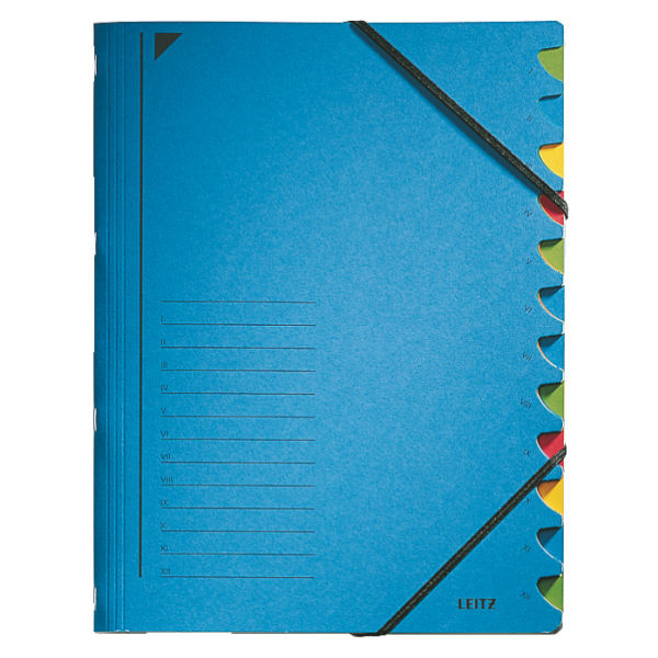 Esselte Leitz 39120035 - Cardboard - Blue - A4 - 247 mm - 320 mm - 370 g