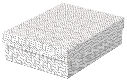 Esselte Leitz 628284 - Storage box - White - Rectangular - Cardboard - Pattern - Indoor