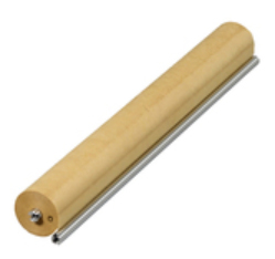 Ricoh AE045069 - Rouleau - Kit de maintenance