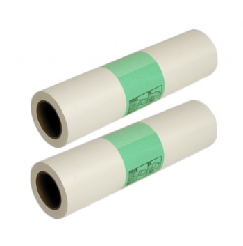 Ricoh 893196 - Rouleau - Vert, Blanc