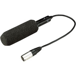 Panasonic AJ-MC900G - Microphone pour caméscope numérique