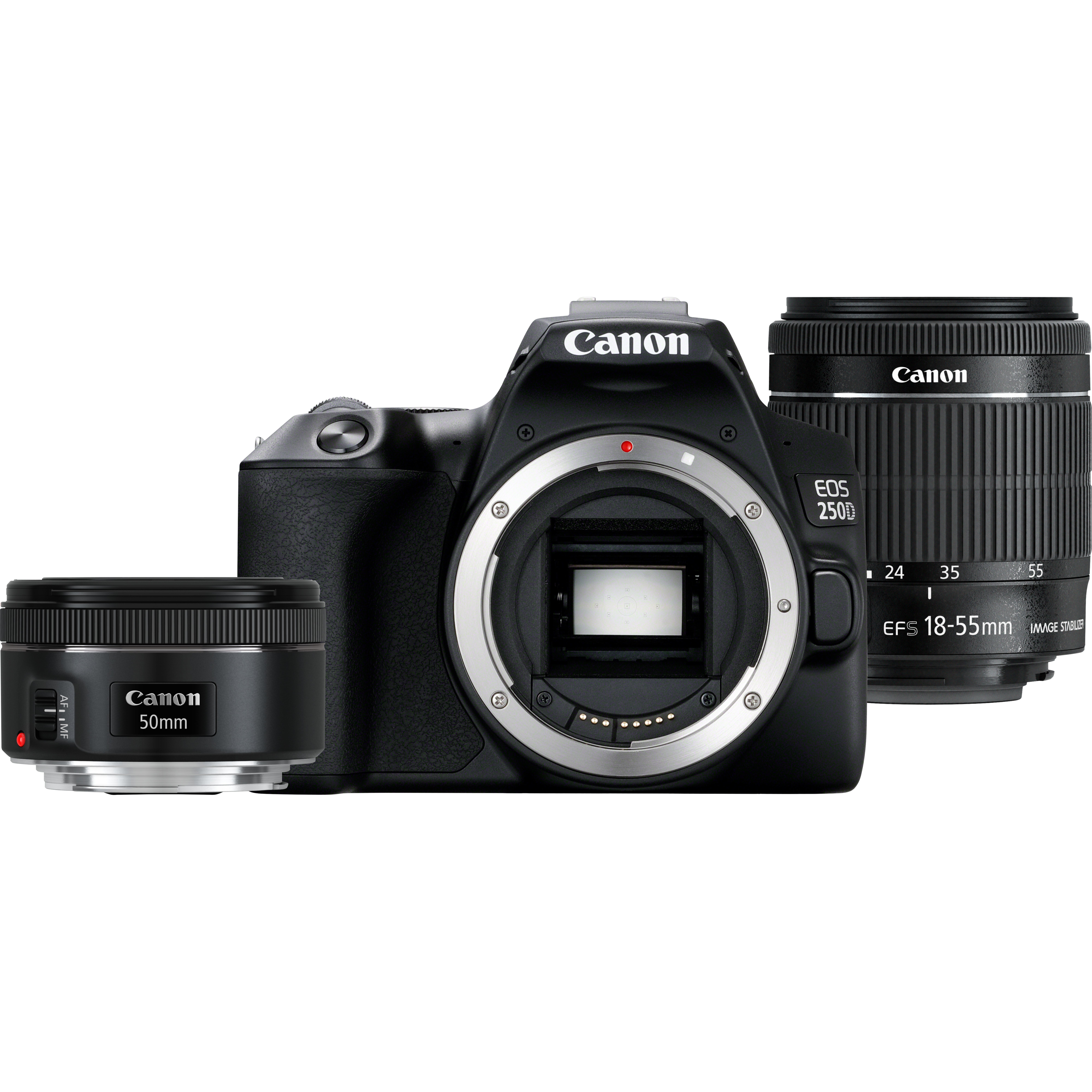 Boîtier Canon EOS 250D - Appareil photo numérique - CMOS 24,1 MP - Noir