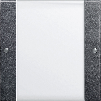 GIRA 213128 - Anthracite, Blanc