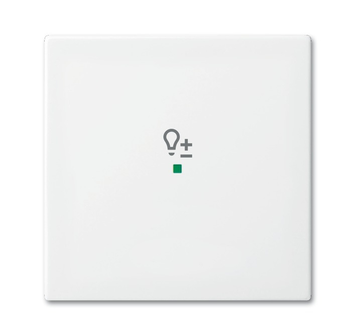 BUSCH JAEGER 2CKA006220A0359 Plastique blanc gratuit