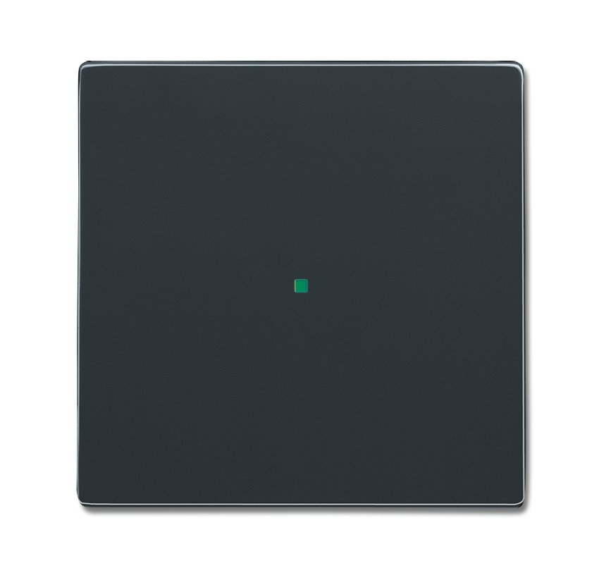 BUSCH JAEGER 2CKA006220A0032 Anthracite freeahome