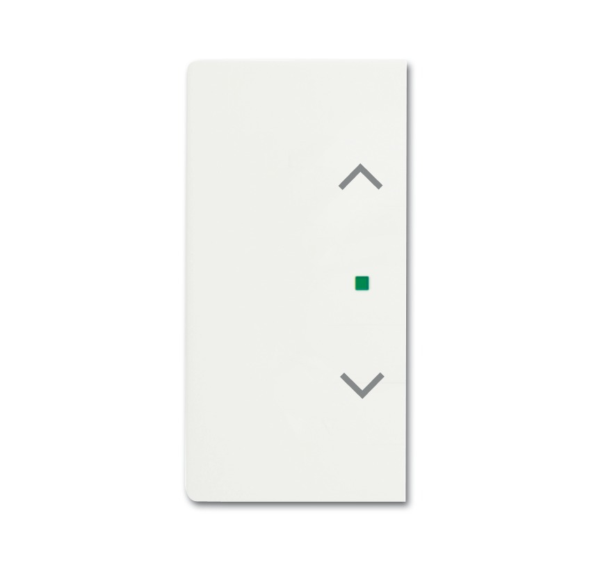 BUSCH JAEGER 2CKA006220A0488 Plastique blanc gratuit