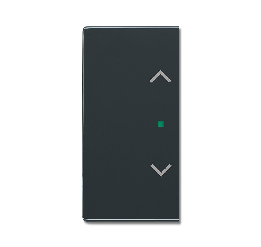 BUSCH JAEGER 2CKA006220A0053 Anthracite freeahome