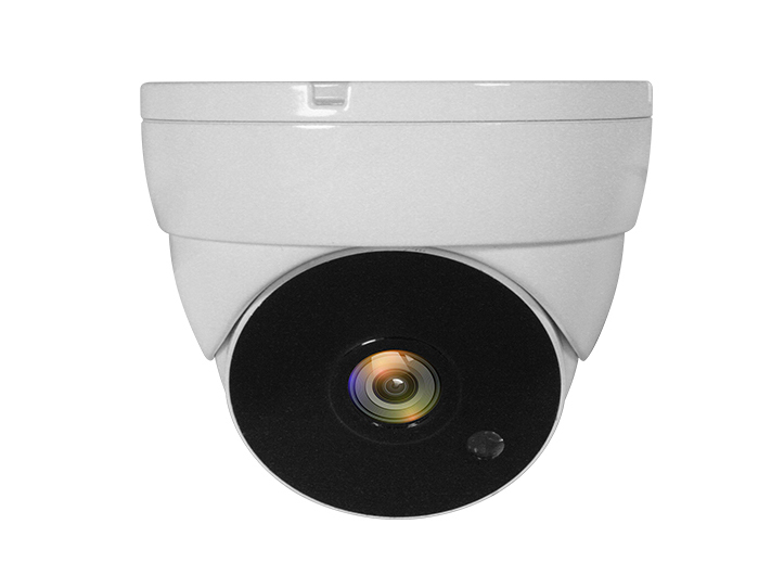 Caméra dôme infrarouge LevelOne ACS-5302 2MP