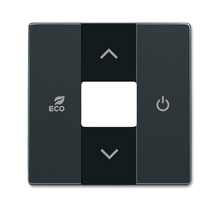 BUSCH JAEGER 2CKA006220A0074 Anthracite