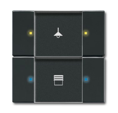 BUSCH JAEGER 6126/02-81 Anthracite brillant sans vis