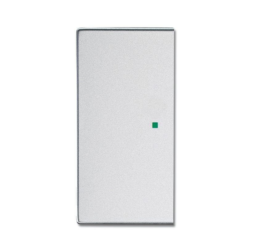 BUSCH JAEGER 2CKA006220A0048 Plastique argenté