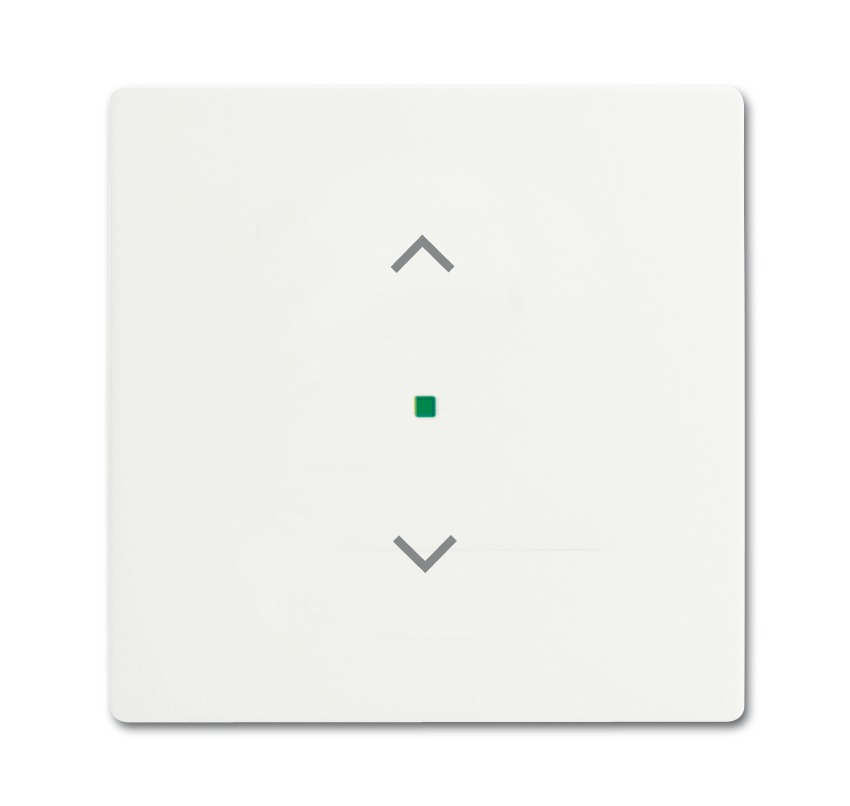 BUSCH JAEGER 2CKA006220A0483 Plastique blanc gratuit