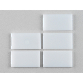 Schneider Electric 1225172 - Blanc - 53 mm - 29 mm