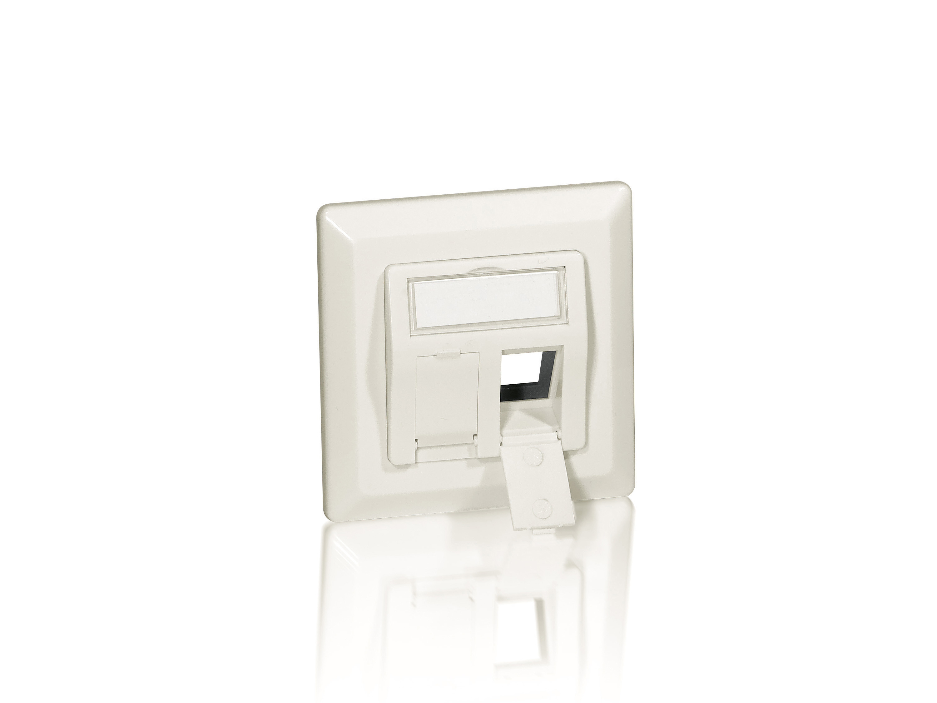 Plaque frontale allemande Equip 2 ports - Blanche - Toutes marques - 80 mm - 80 mm - 74 g - 1 pièce(s)