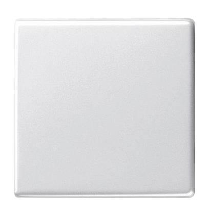 GIRA 029603 - Blanc - IP44