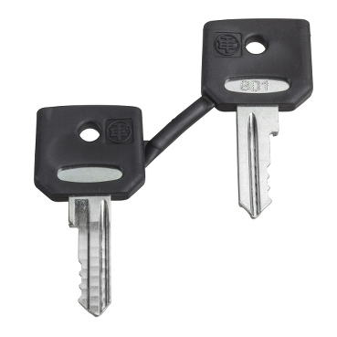 Schneider Electric ZBD8D1 - Clé - Harmony XB4 - Harmony XB5 - 14 g - 12 g - 53 mm - 100 mm