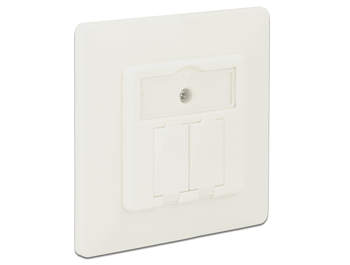 Delock 86219 - RJ-45 - Blanc - 80 mm - 25,7 mm - 80 mm