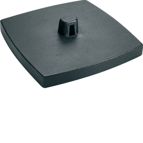 Hager DAFF20009011 - Graphite - Steel