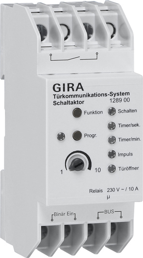 GIRA 128900 - Plastique - Blanc - 230 V - 10 A