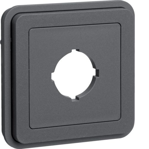 Berker 42913505 - Grey - Conventional - Berker - W.1 - 1 pc(s) - Polybag