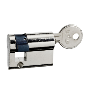 Schneider Electric 123000 - Serrure de porte - Gris - Acier - 42 mm - 1 pièce(s) - 75 mm