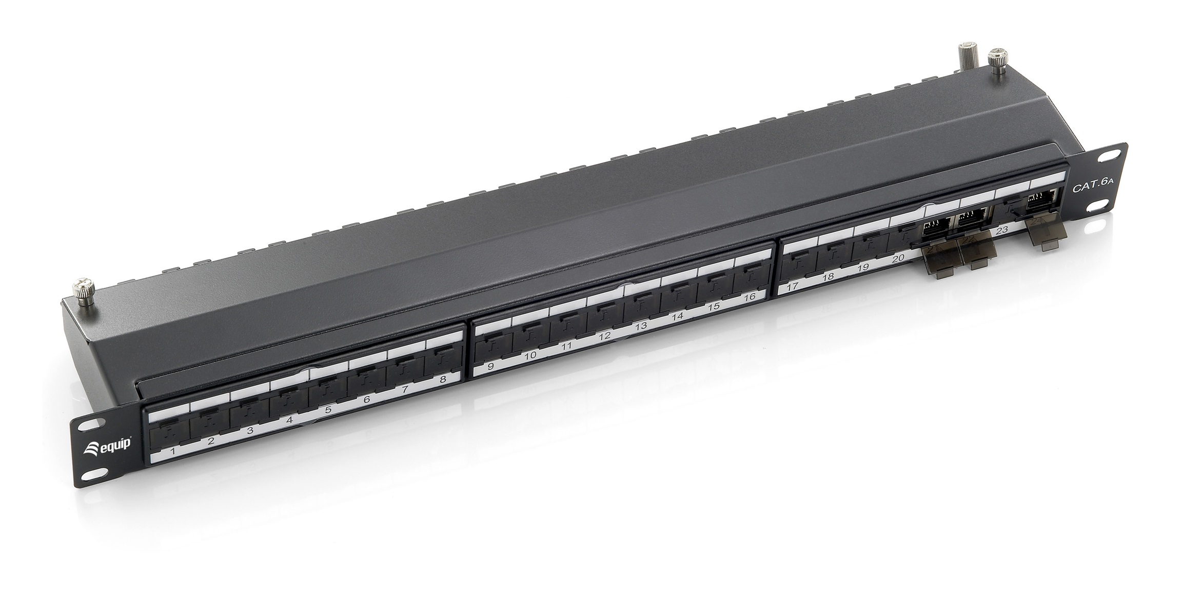 Panneau de brassage blindé Equip 24 ports Cat. 6A - Noir - RJ-45 - Or - Cat. 6a - Noir - Montage en rack - 1U