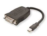 Adaptateur AMD DisplayPort - Mini DisplayPort (M) vers DisplayPort (M)