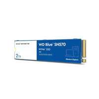 Disque SSD NVMe WD Blue SN570 2 To