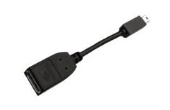 Adaptateur PNY miniDP vers DP 96 mm - Adaptateur