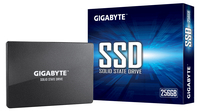 Gigabyte GP-GSTFS31256GTND - 256 Go - 2,5" - 520 Mo/s - 6 Gbit/s