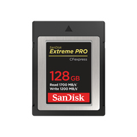 SanDisk CFexpress 128GB Memory Card - SDCFE-128G-GN4NN