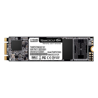 Team Group MS30 - 256 GB - M.2 - 550 MB/s - 6 Gbit/s