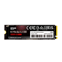 Silicon Power UD90 - 1000 Go - M.2 - 4800 Mo/s